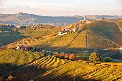 Town of Barbaresco