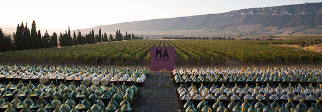 Aging at Mas Amiel