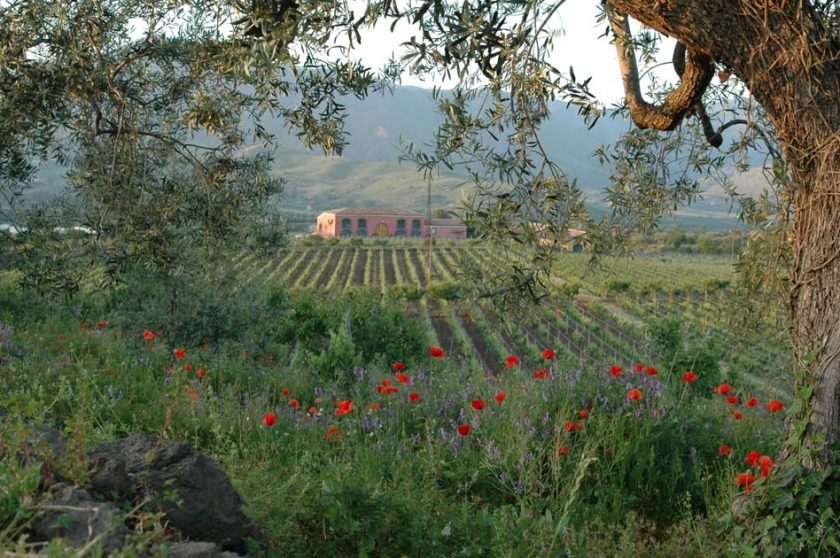 Etna scene