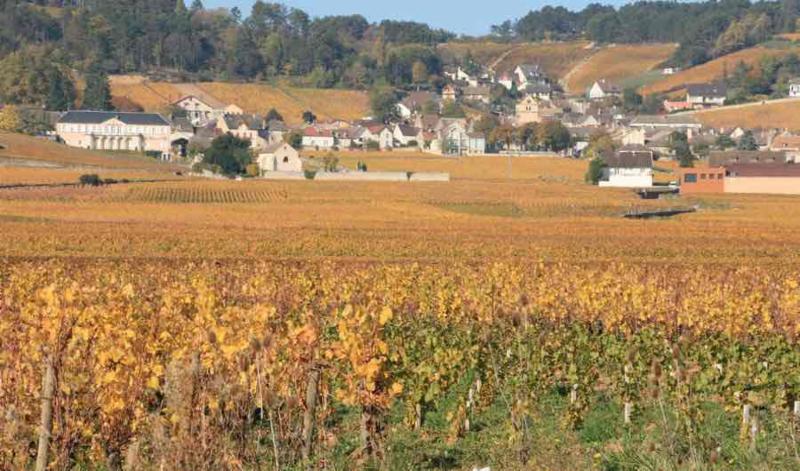 Volnay in the Autumn